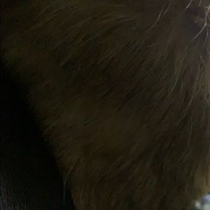 Meet your Posher, Maru